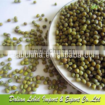 High Quality Green Mung Bean For Sale