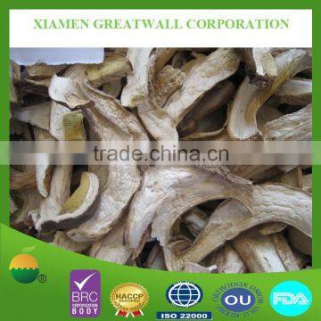 2015 crop dried porcini mushroom