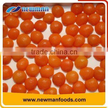 2016 New Crop High Quality Canned Apricot in Light Syrup Golden Sun All Sizes photo-6