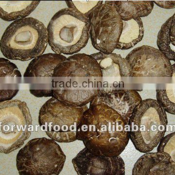 dried shiitake mushroom 1kg