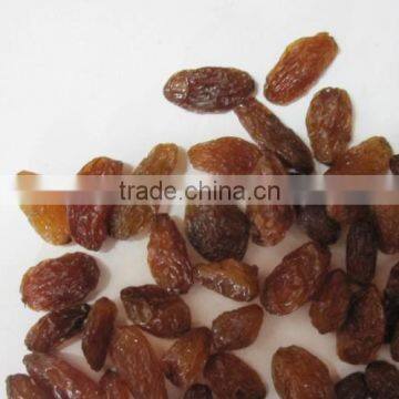 Kington Fruit -sultana raisin -raisin ,golden raisin .green raisin .