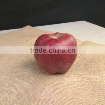 New Crop New Season Huaniu Apple Fresh Apple China Gansu Tianshui Huaniu Apple photo-6