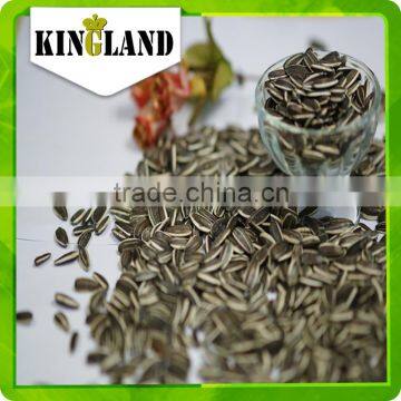 Sale Chinese Raw Sunflower Seeds 5009 In Bulk in Shell