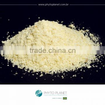 SPRAY DRIED APPLE POWDER