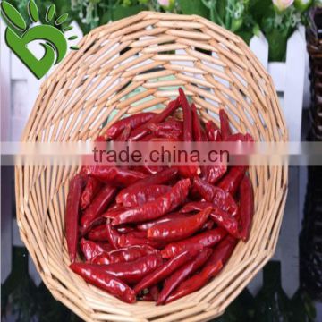 Chili Dried Pepper