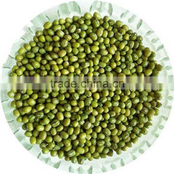 JSX Dried Mung Bean Price Small Size Selected Price for Green Mung Beans photo-6