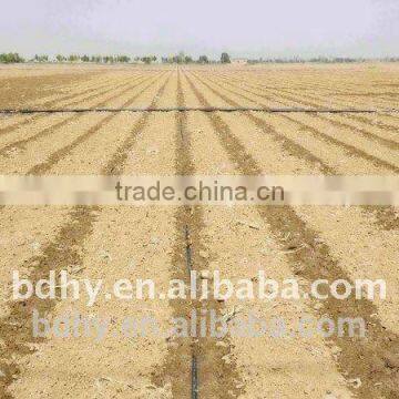 desert save-water irrigation with drip tape