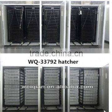 factory directly price hatching duck eggs