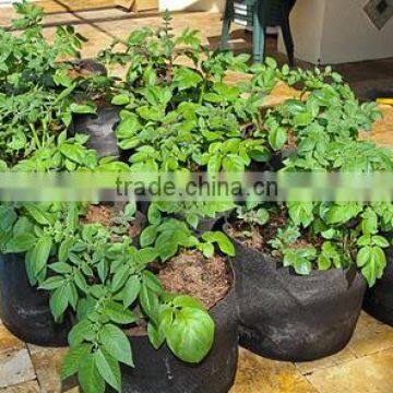 Hydroponics Fabric Plants Grow Bags Fabric pot