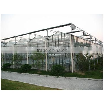 The Cheapest XINHE Single-span/multi-span Glass Green House