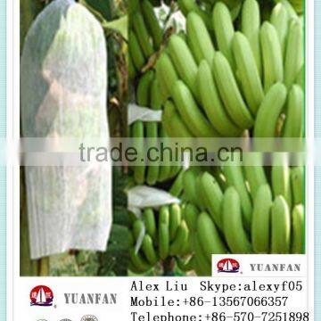 Non-woven Fruit Insect-resistant Bags, Nonwoven Bag of Banana ,Non Woven Bag of Grapes photo-3