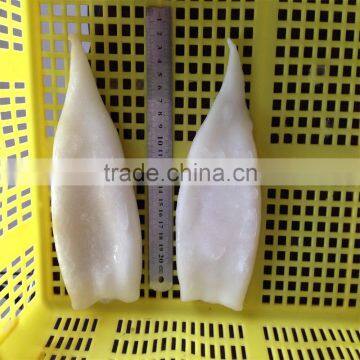High Quality Pacific Squid Tube (Todarodes Pacificus) photo-3