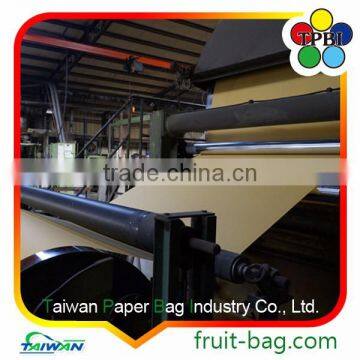 TPBI Wax Apple Bell Fruit Protective Cover Paper Bag photo-5