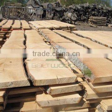 Unedged Birch Timber photo-2