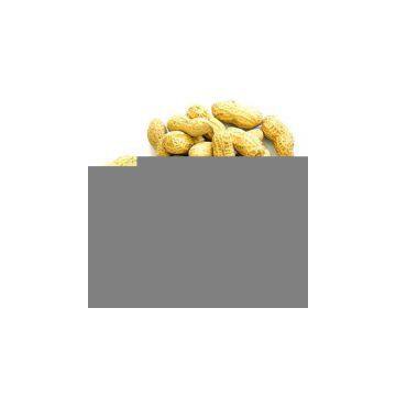 Sell Chinese Peanut Kernels