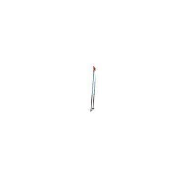 Nordic Walking Stick