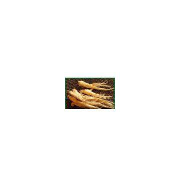 American Ginseng Extract  sweetyhuir(at)hotmail(dot)com