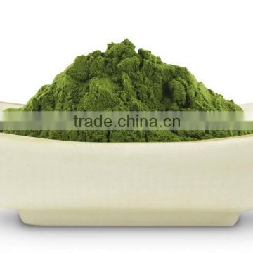 Organic Premium Quality Moringa Leaf powder for sale