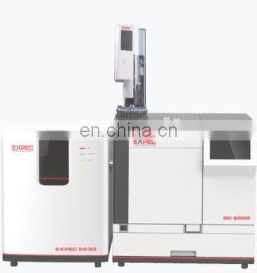 Gas Chromatograph System