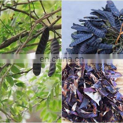 Dried Gleditsia/Caesalpinioideae/boket From Vietnam photo-3