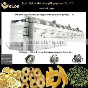 Delon dryer for drying snacks/puff snacks/fruit/vegetable