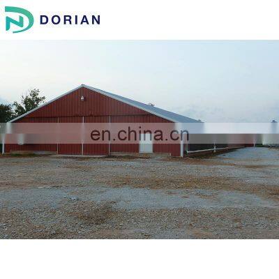 Professional Metal Structure Open Chicken House photo-3