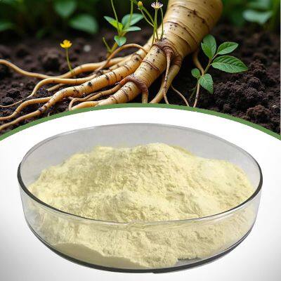 Ginseng Extract