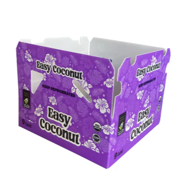 Reusable Corrugated Plastic Foldable Boxes – Eco-Friendly Coconut Transport Solutions