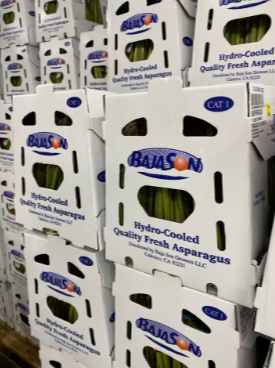 Versatile PP Corrugated Box – Packaging Solution for Fresh Agricultural Goods