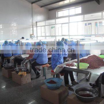 Ningxia Ninghai Goji Berry photo-3
