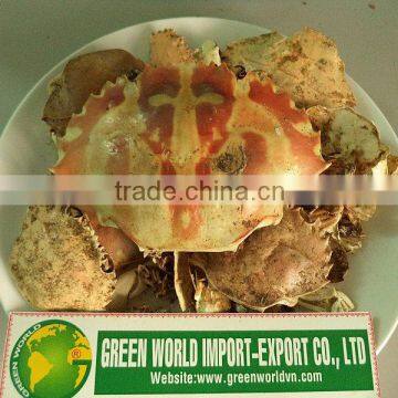 DRIED CRAB SHELL USED AS ANIMAL FEED