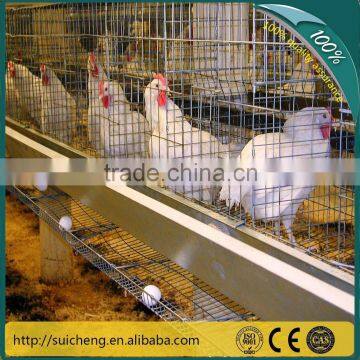 Guangzhou Factory chicken breeding cage/chicken wire cage mesh/chicken layer cage price