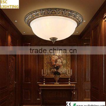 New ceiling lights Europ-style Ceiling LED lamps wireless ceiling                        
                                                                                Supplier's Choice