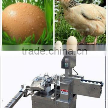 China 2013 automatic 3000pcs/h stainless egg breaking machine/egg breaker(008613823737025)