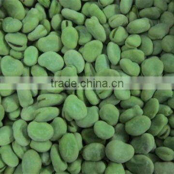 Frozen style broad bean A grade