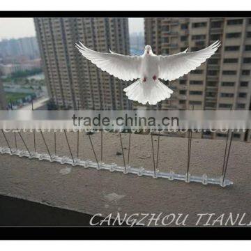 Niusance Bird Control Products Anti Bird Spikes,Stainless Steel Bird Spike---TLD5005U2-50