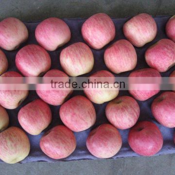 Chinese Fuji Apple