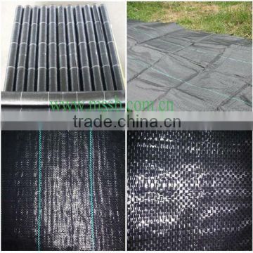 Blck Green Agriculture use pp ground cover exported to Chile