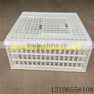 plastic live chicken cage for sale