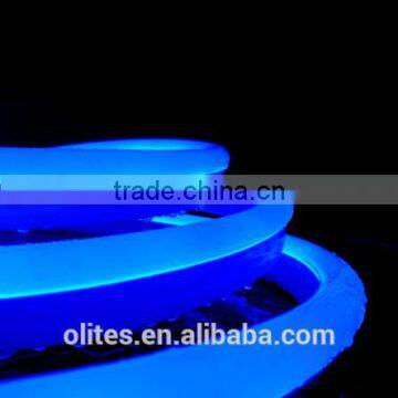 2016 New Product China No MOQ Customized Length Flexible LED Neon Strip Light for Indoor Lighting photo-2