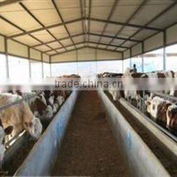 poultry house low cost shed buildings