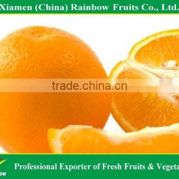 penerjemah bahasa mandarin/china-mandarin fresh orange Jiangxi fresh Navel orange