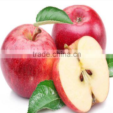 sugar free apple juice concentrate for 100% apple juice