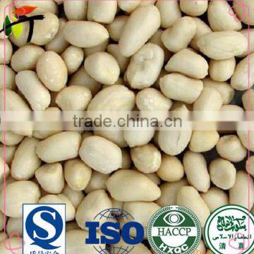 New Crop Blanched Peanut