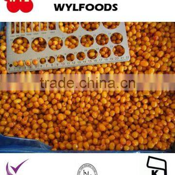 chinese new seasion frozen fruit Frozen sea buckthorn