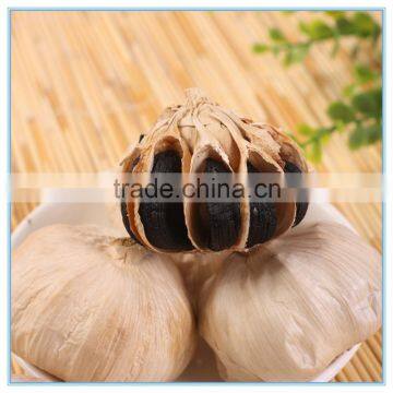 Natural China Black Garlic Price in Blister Package