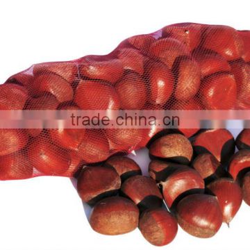 Best quality fresh chestnuts