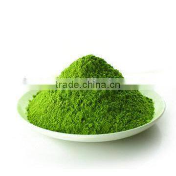 Wheatgrass Seeds Wheatgrass Powder photo-4