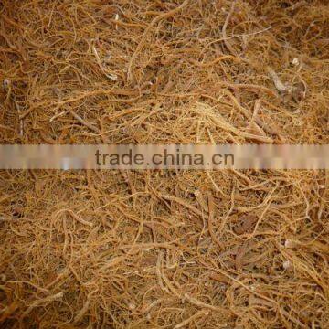 Ecocent Red ginseng (korean ginseng ) tails