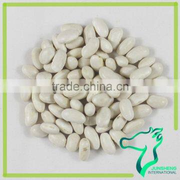 Material Of White Beans Canned Best Quality And Best Price